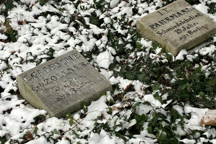 Bild Die Zusammenhänge der Märzrevolution 